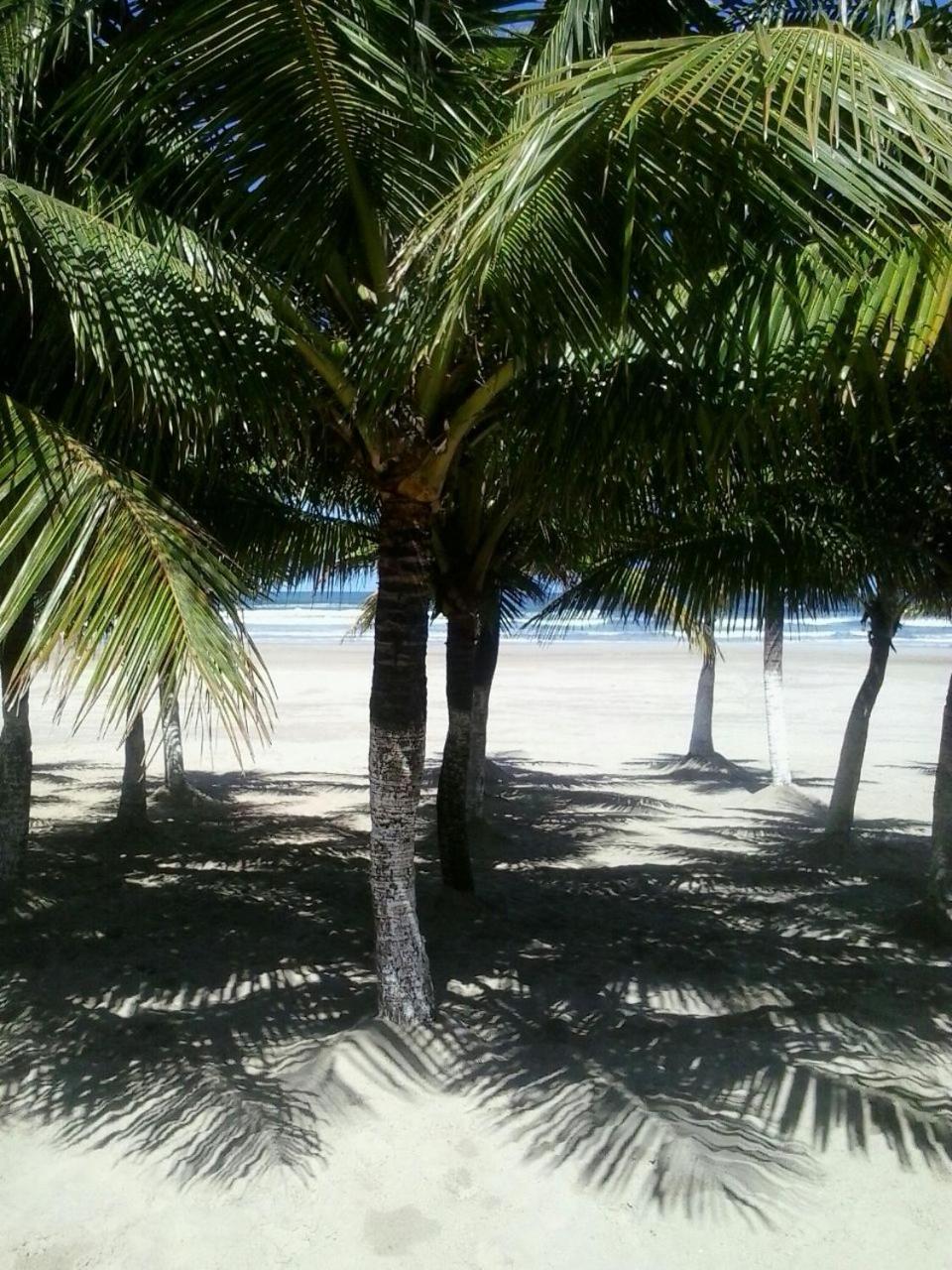 Frente Mar Piscina Churrasqueira Wifi Garagem Portaria 24Hs Appartement Solemar Buitenkant foto